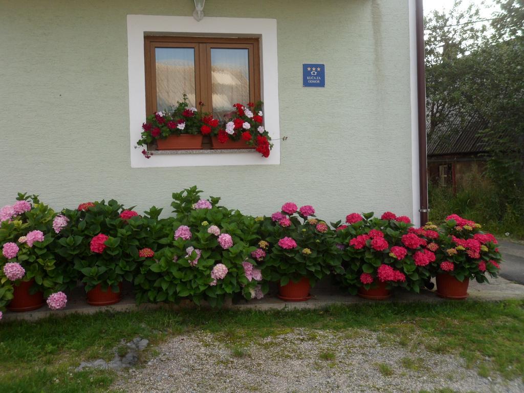 Vacation Home Kuca Za Odmor Krasno Polje Værelse billede